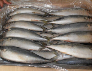 Cách bảo quản cá tươi đơn giản nhất