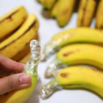 Cách bảo quản trái cây tươi lâu hơn có thể lên đến 3 tháng