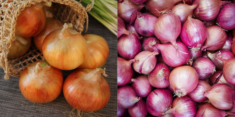 Alt: Hình ảnh bánh mì được bảo quản không đúng cách trong túi nilon, xuất hiện nấm mốc