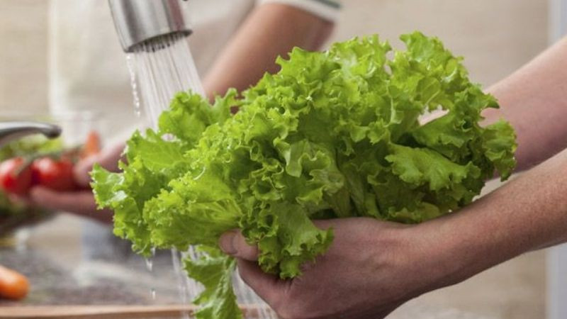 alt: Sơ chế rau xà lách