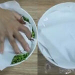 Bí quyết bảo quản bắp cải để giữ tươi ngon suốt thời gian dài