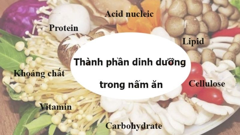 alt text: Hình ảnh nấm tràm tươi ngon trong rổ, sẵn sàng để chế biến.