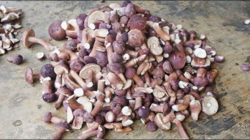 alt text: Nấm tràm được đóng gói hút chân không để bảo quản lâu dài.