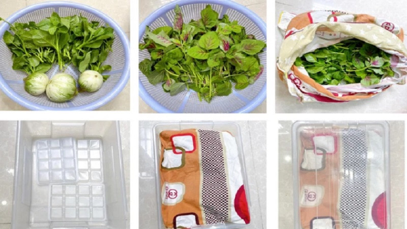 alt text: Rau củ được bọc kín trong vải cotton và bảo quản trong tủ lạnh