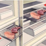 Cách giúp thực phẩm bảo quản trong tủ đông không bị khô