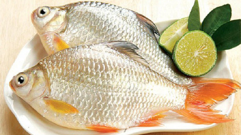 Bảo quản cá tươi