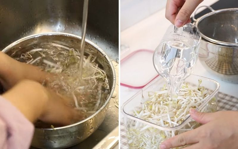 Giá đỗ ngâm nước